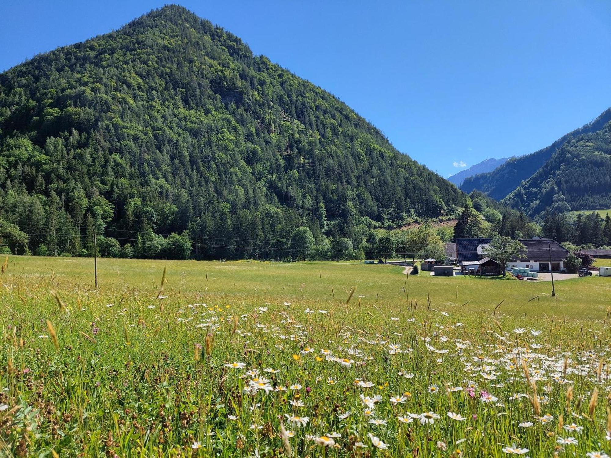 Hofpower'S Mountain Feeling Leilighet Hinterstoder Eksteriør bilde